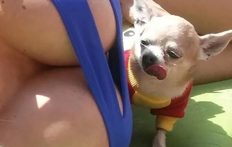 Gewoon een verzameling hilarische foto's #782