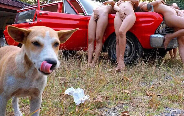 Gewoon een verzameling hilarische foto's #803