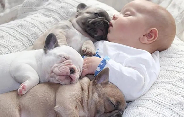 Gewoon een verzameling hilarische foto's #893