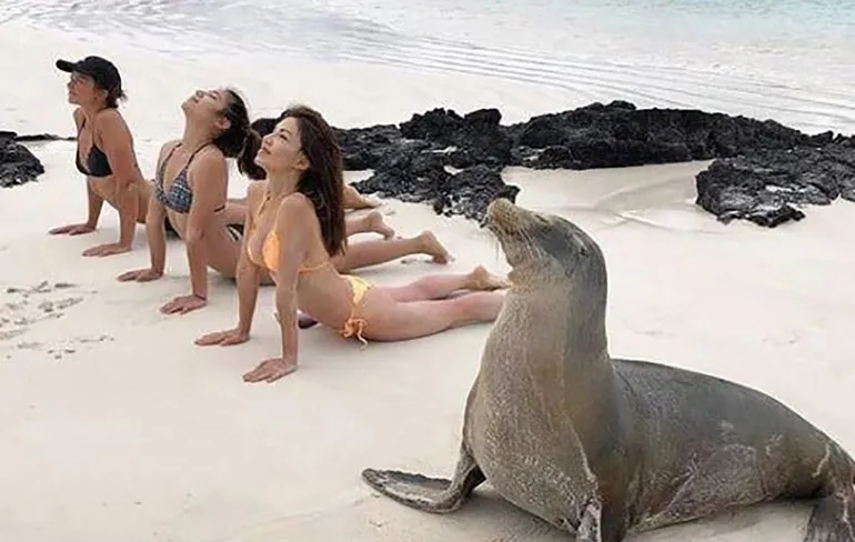 Gewoon een verzameling hilarische foto’s #978