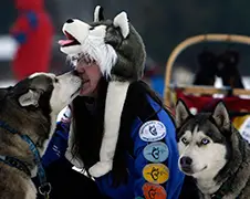 Gewoon wat foto's van sledehonden wedstrijden in Europa