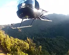 Gezellig hertjes afknallen vanuit een helikopter
