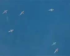 Gloeiende, lijkt wel een scene uit Sharknado