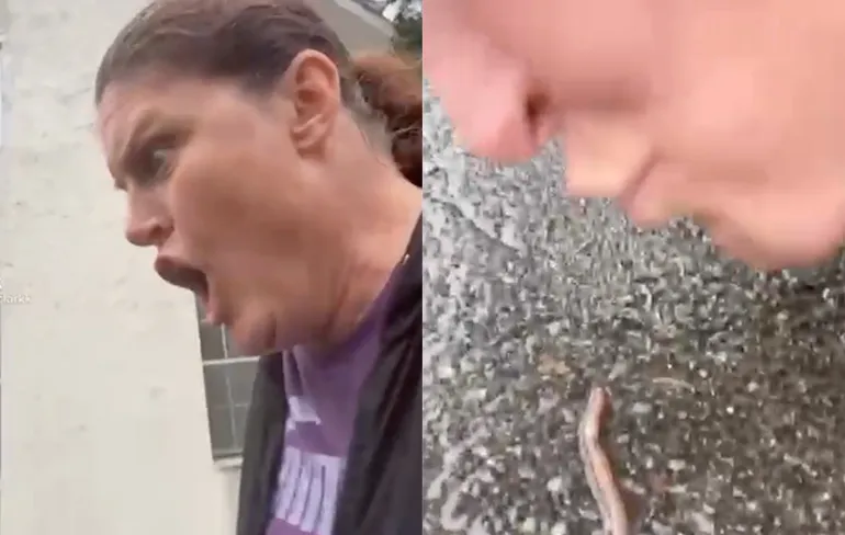 Goed voor de proteïnen: Eet eens een regenworm