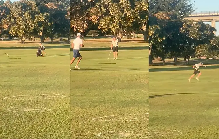 Golfers hebben ruzie met Maskerkievitten die kroost willen beschermen