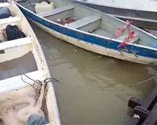 Gooi eens wat vlees in een rivier vol piranha's!