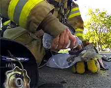GoPro beelden Brandweerman redt poesje