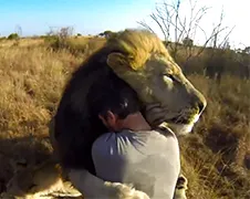 GoPro beelden lekker knuffelen met een leeuw