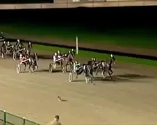 Haas wint paardenrace in Wolvega