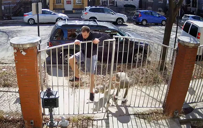Hardloper in Chicago moet over hek springen als Pitbull achter hem aan zit