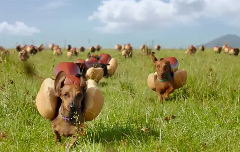 Heinz maakt superbowl commercial met teckels in slow motion