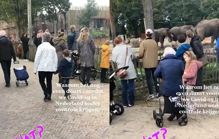 Het lijkt toch best wel druk bij de olifanten in Ouwehands Dierenpark...
