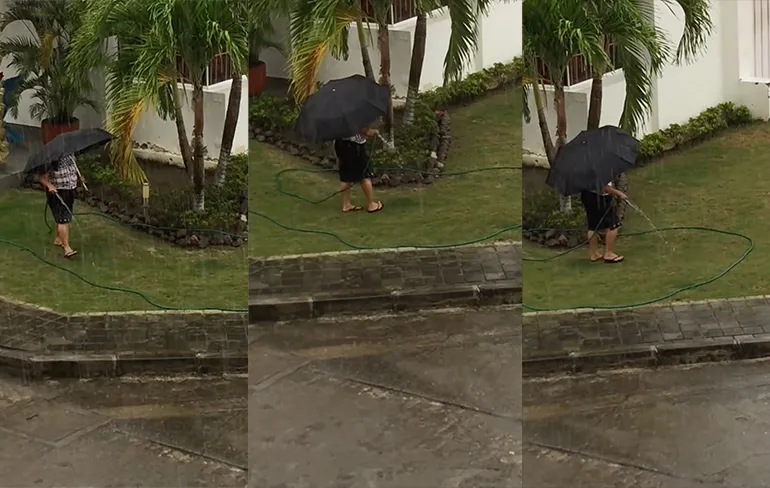 Het regent pijpenstelen, maar vrouw geeft zelf bloemetjes water