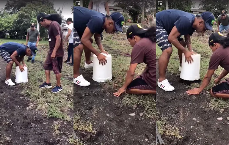 Hey pik, zit een beest onder deze emmer en jij moet het vangen!