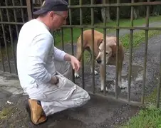 Hoe win je het hart van een valse waakhond?
