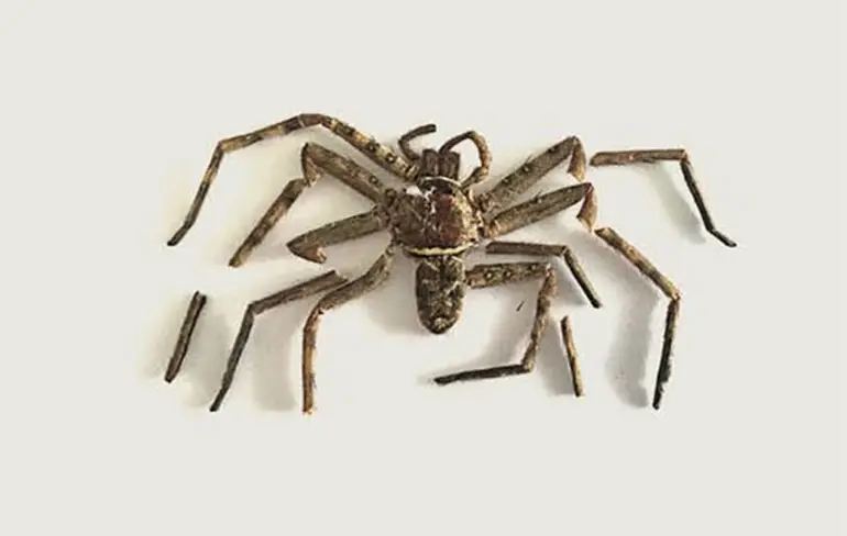 Holëschitt: Grafisch vormgever vindt spin in IKEA bouwpakket