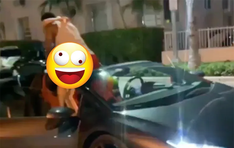 Hompiekurken in een Lambo met de top naar beneden kan van de lijst