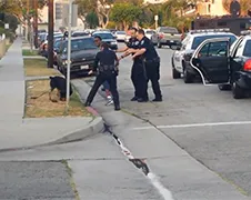 Hond filmende ramptoerist doodgeschoten door politie