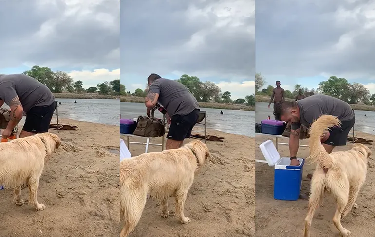 Hond heeft geen zin in extra gasten op de BBQ