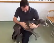 Hond herenigt met baas na 6 lange maanden