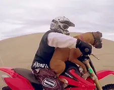 Hond Lexus rijdt graag mee op Dirt Bike