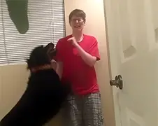 Hond probeert baasje met Asperger te kalmeren