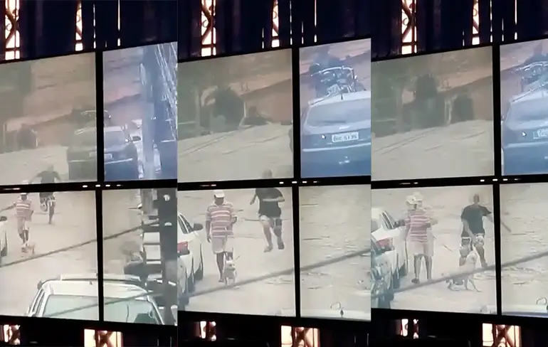 Hondje helpt politie een handje en grijpt overvaller!