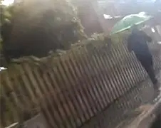 Iemand haalt zeker een nat pak in Culemborg...