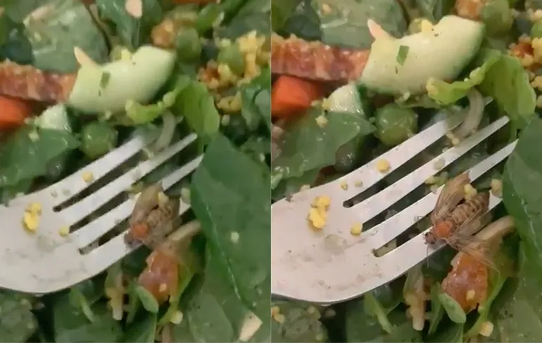 Iets meer dan kip in Marokkaanse kip salade van de Appie