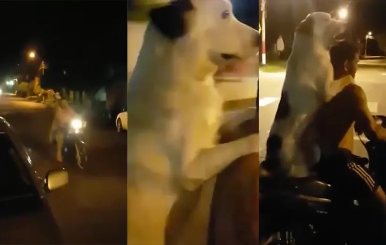 Ik moet gewoon even pissen, waarom is die lampelul aan het filmen?