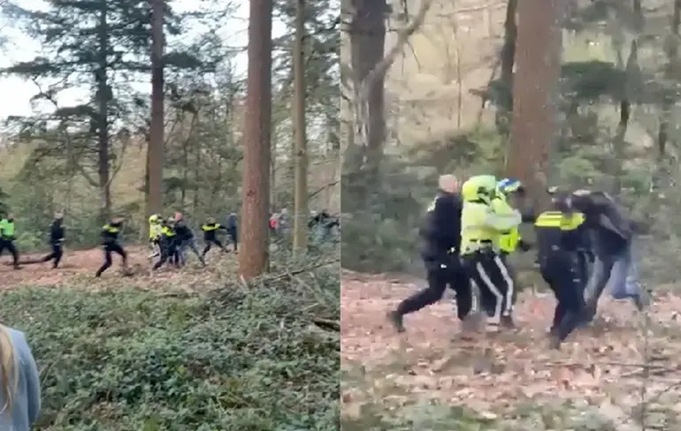 In bos bij het Friese Oudemirdum was het ook heel gezellig