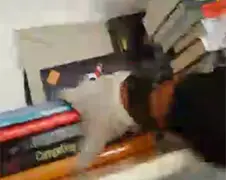In-brekend nieuws: Man streamt inbraak via Periscope