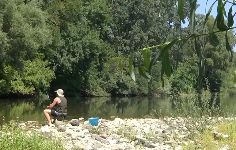 In Frankrijk moet je ook uitkijken voor wilde beren!