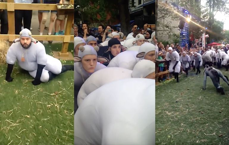 Internet kan uit: Mensen verkleed als schapen is wel heel erg vreemd