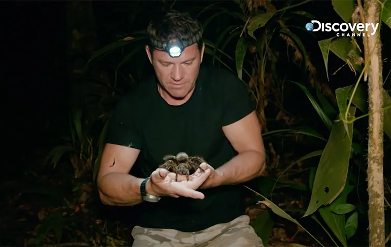 Is zo'n Goliathvogelspin iets voor jou als huisdier?