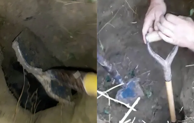 Jachthond heeft tijdens jacht toch ineens andere prioriteiten