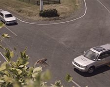 Keiharde anti snel rijden commercial uit Nieuw-Zeeland