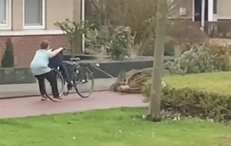 Kerstboomsleper heeft het lastig, maar komt er wel