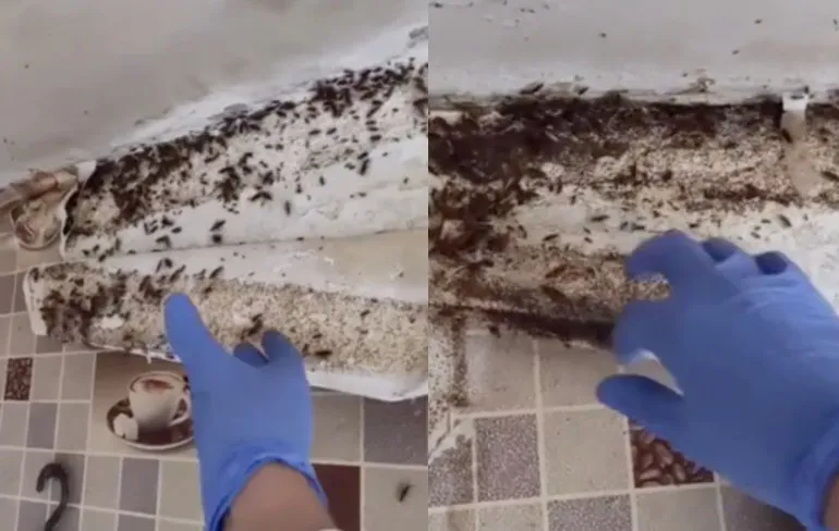 Keuken is zo vies, daar zouden we niet graag een eitje maken