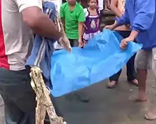 Kind in Peru opgegeten door Piranha's