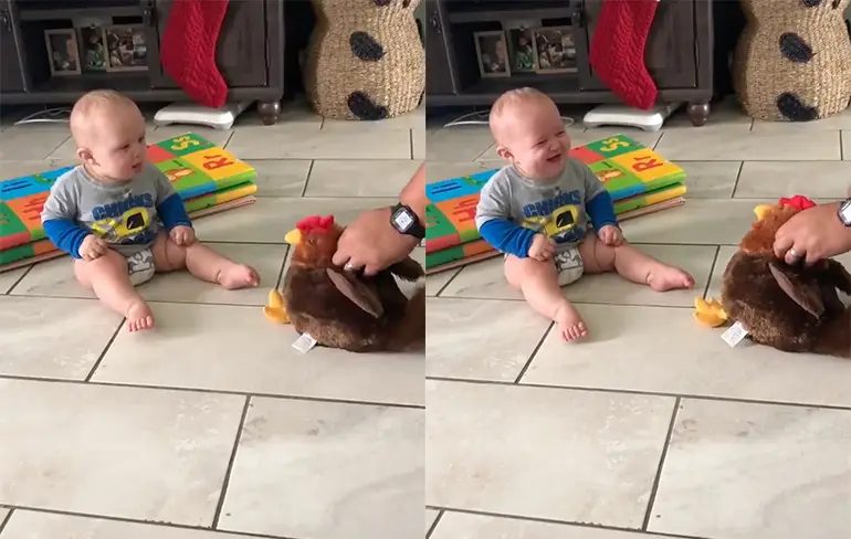 Kip maakt baby aan het lachen