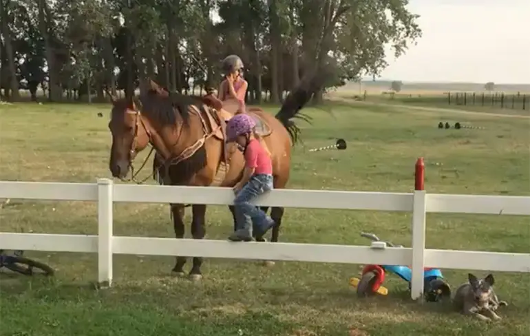 Klein meisje is slim en komt weer op paard