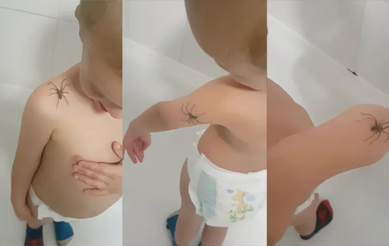 Kleuter is juist niet bang voor grote spin