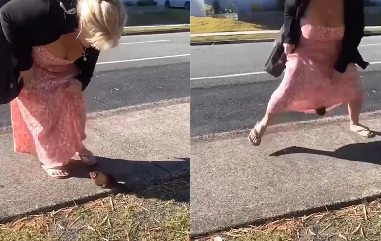 Knaagdier heeft het op een vrouw voorzien