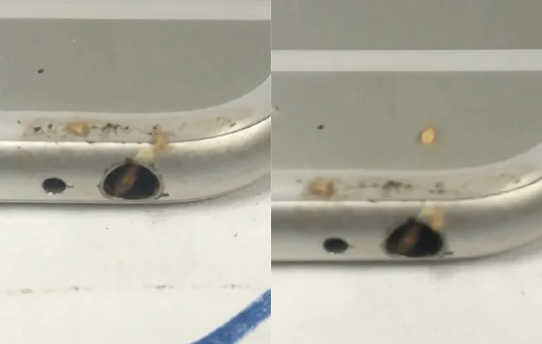 Koptelefoon ingang van telefoon zit vol bedwantsen