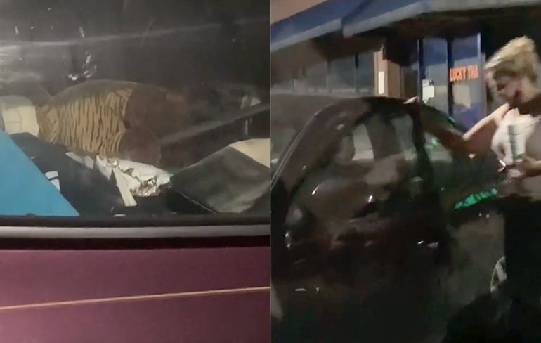 Krioelt van de kakkerlakken in Uber Eats auto in Atlanta