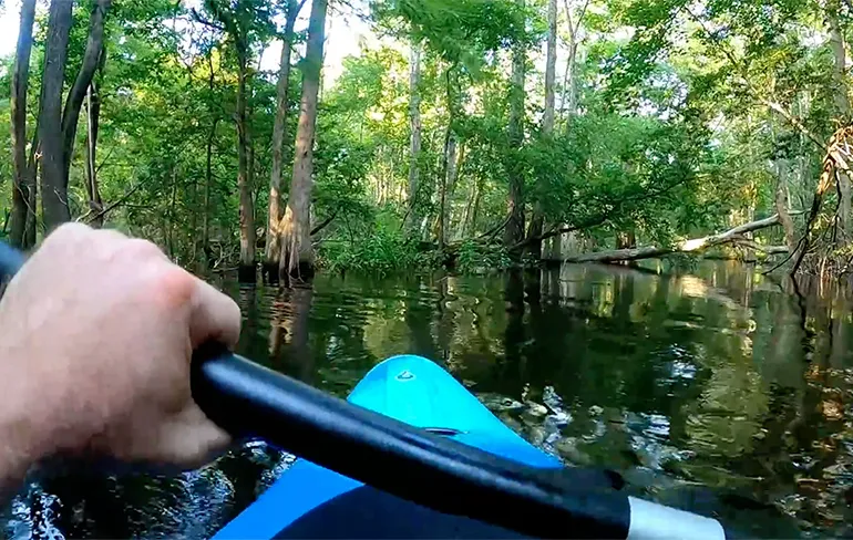 Krokodil valt kayakker aan in North Carolina