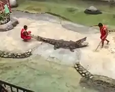 Krokodillentrainer Thailand tijdens show in hoofd gebeten