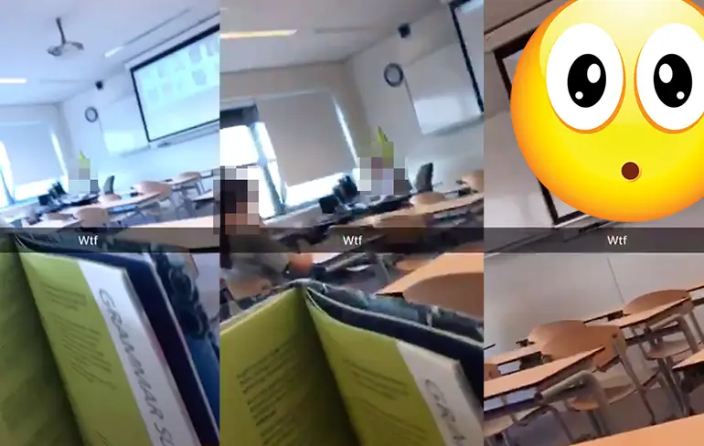 Leraar school in Lochem geschorst voor kijken natuurfoto's in de klas