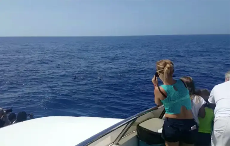 Leuk tochtje met de boot op Tenerife...